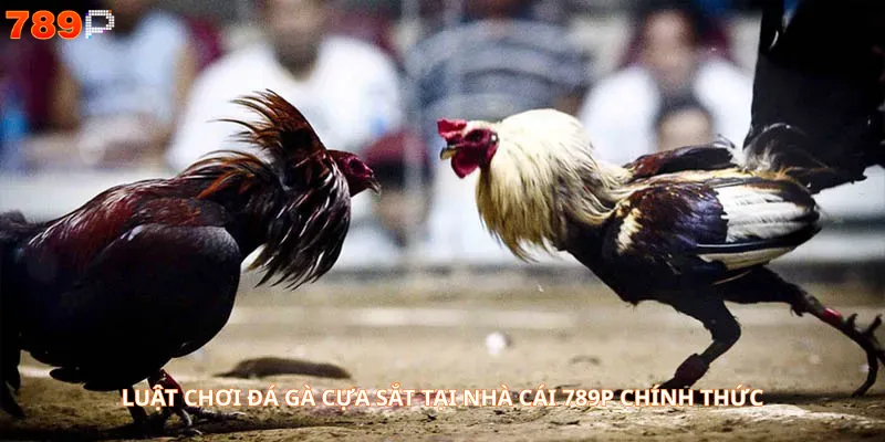 Luật chơi đá gà cựa sắt tại nhà cái 789P chính thức